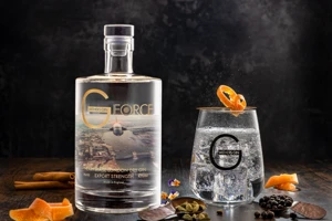 A bottle of Withers G-Force London Dry Gin stands beside a gin and tonic garnished with citrus against a dark background.