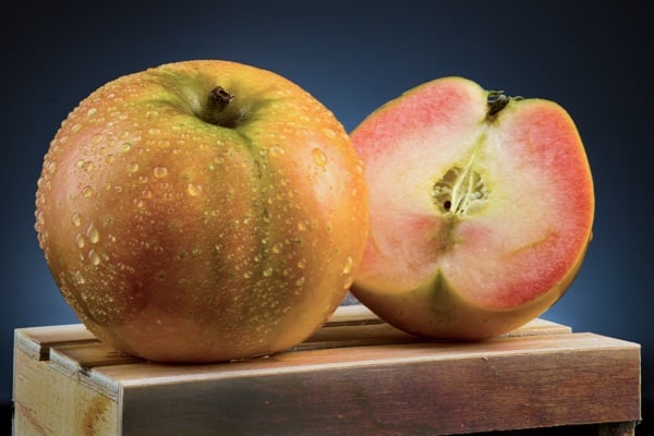 Kissabel apples showing their unexpected pink flesh beside the natural red and green skin.
