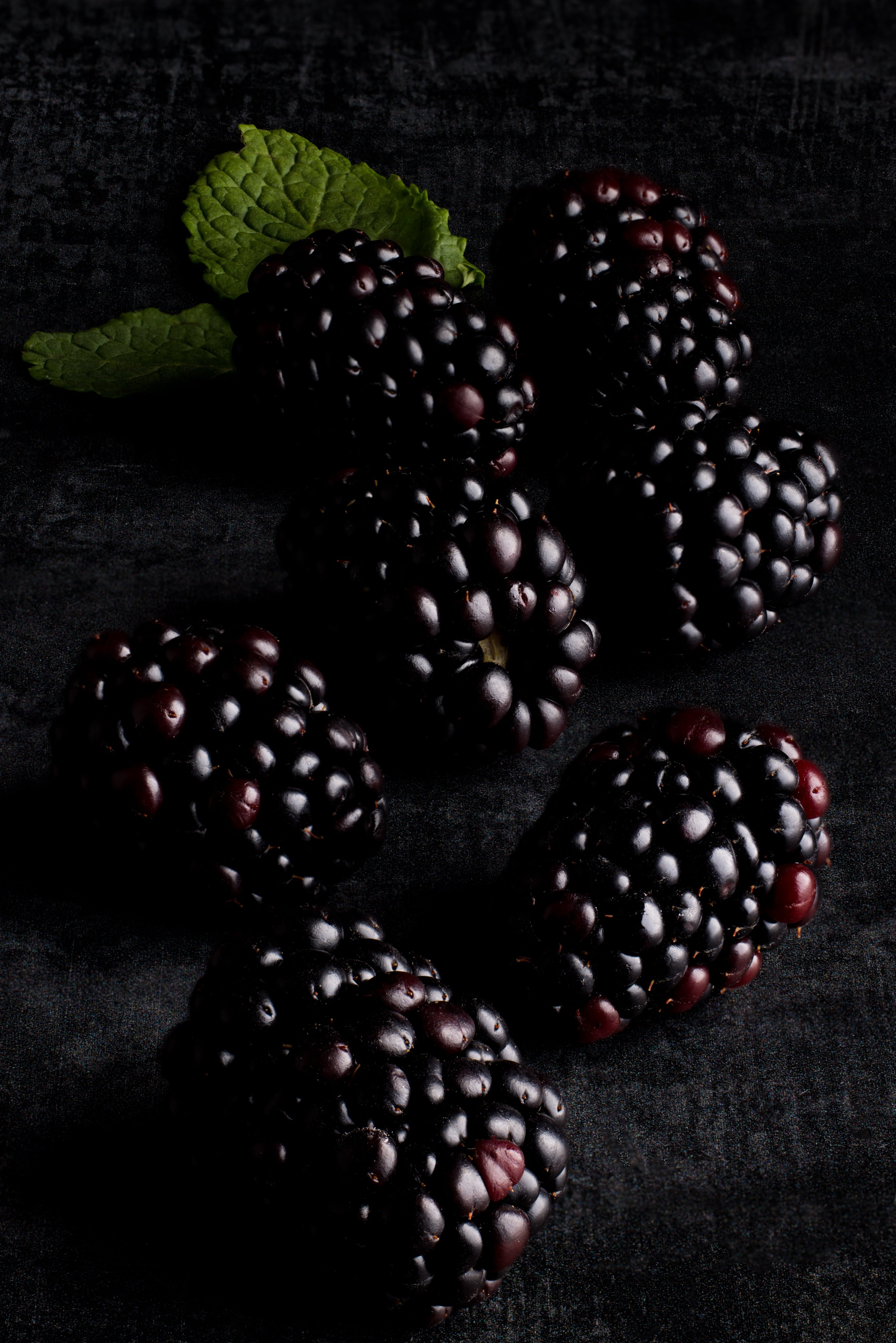 Glossy, dramatic, delicious blackberries. A creative photograph by JaxMore Food and Drink Photography, shot in their Derby studio.